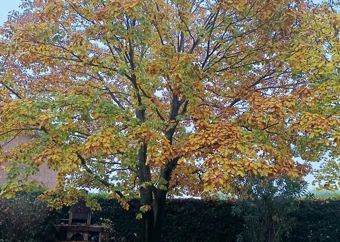 Il Giardino Di Dede Feriehus *